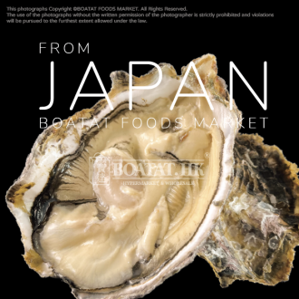 [Pre-Order] Japan Uzushio Iwao Oyster