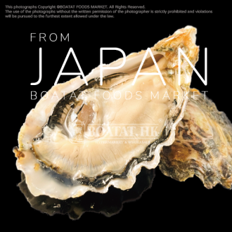 [Pre-Order] Japan Hiroshima Miyagi Oysters